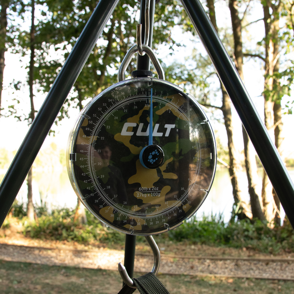 60LB Scales - DPM