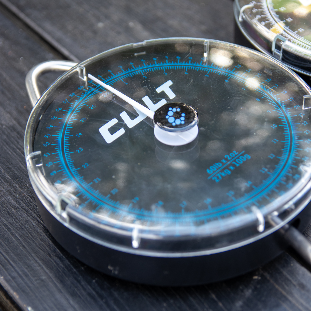 60LB Scales